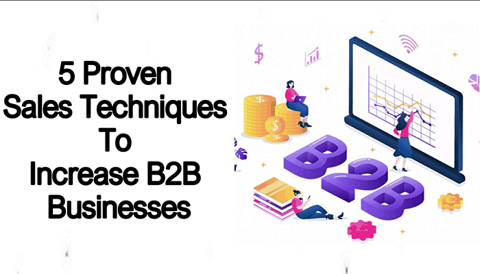 Sales Techniques To Scale B2B Businesses