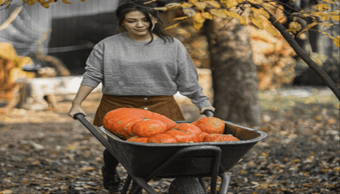 The Best Wheelbarrow Specially For Your Gardening