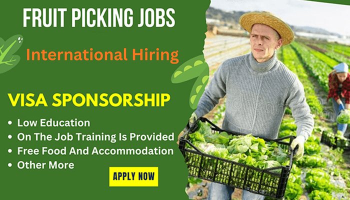 Fruit Picking Jobs - Global Opportunities