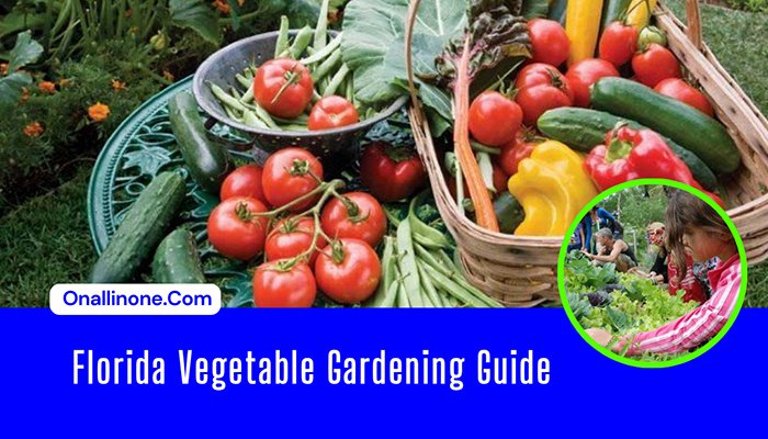 Florida Vegetable Gardening Guide